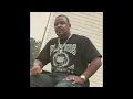 Ant Banks - Pimp Style Gangstas (feat Bad N Fluenz) 1994