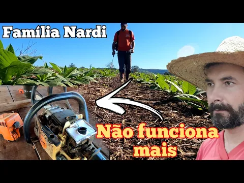 Download MP3 Passando secante no meio do fumo. Motosserra não funciona mais. (Mostrando os porcos do pai). 🐄🐄 🐔 🐖