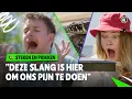 Download Lagu GEBETEN WORDEN DOOR AGRESSIEVE SLANG GAAT MIS!! 🐍🚑 | Steken en Prikken | S4 #3 | NPO Zapp