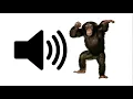 Monkey - Sound Effect