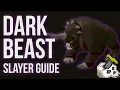 OSRS the ULTIMATE Dark beast slayer guide method for all budgets 2026