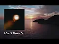 I Can’t Let Go