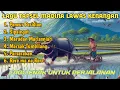 Download Lagu LAGU TAPSEL MADINA PALING ENAK DI DENGAR DI PERJALANAN PANCUR PARIDIAN | LAGU MANDAILING LAMA