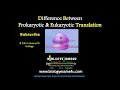 10 Differences between Prokaryotic and Eukaryotic Translation Subtitled
