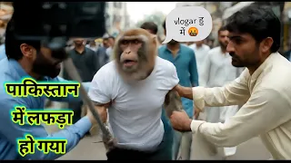 Bandar gaya pakistan Funniest Travel Ever!😆🤣 #comedy #monkeyvlog #funnymonkey