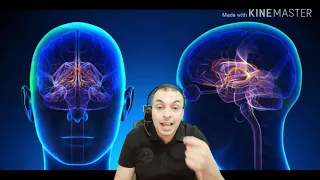 آلية تكون  المشاعر  في الجسم   هل سألت نفسك كيف تتولد المشاعر بداخلنا و كيف نشعر بها دندنها