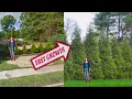 Green Giants The Best FASTEST Privacy Trees Money Can Buy
