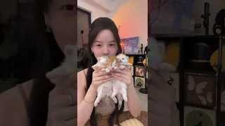 Listen there is purring at the end the kitten is sleeping