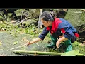 Download Lagu A Single Mother’s Daily Meal in the Deep Forest