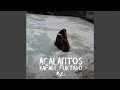 Download Lagu Mau Mau