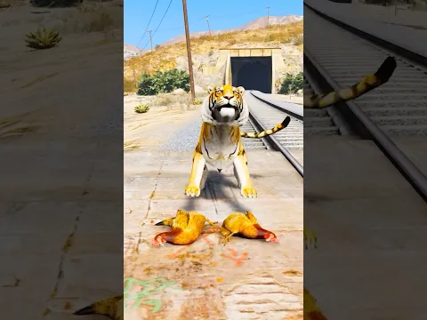 GTA V : DOGS TEACH US PURE LOVE 🥺| Part 430