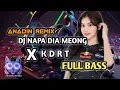 Download Lagu DJ PARTY FULL DROP!!!🔥 NAPA DIA MEONG (Anadin Remix) FULL BASS GACOR!!!