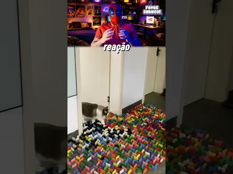 ELE DESAFIOU SEU GATO E ISSO ACONTECEU! 🤯