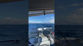 Impavidus motor sailing again. Fast early morning run to Portopalo. #cruiserboats #sailing