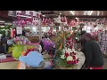 Download Lagu 24-hour flower shops in Houston