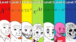 The 7 Levels of Matrices