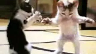 احله بزازين مضحكه ضيفوني تيك توك       دندنها