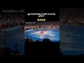 Download Lagu Jessica Dolphin Last Video Viral | Ladki Ko Dolphin Ne Zinda Kha Liya Video Ka ...