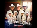 Tal Vez Quiere - Los Invasores De Nuevo León