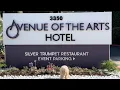Dog Friendly Hotel Review - Avenue of the Arts Hotel Costa Mesa CA