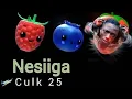 Download Lagu Culk 25 Official - Nesiiga ⏯ ✈