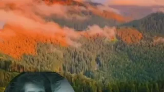 محمد باغبان کفتر کاکل به سر 