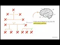 Test Time Scaling in Reasoning LLMs Inference Regimes Evaluation and Reproducibility