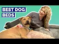 Best Dog Beds - Our Top Picks For Your Pup
