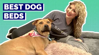 Best Dog Beds - Our Top Picks For Your Pup