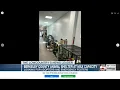 Berkeley Co animal shelter over max capacity