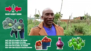 nimejenge nyumba na kununua magari kutokana na kilimo cha nyanya kwa sasa naonekana mtu