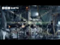 Download Lagu How Do We Find Absolute Zero? | BBC Earth Science