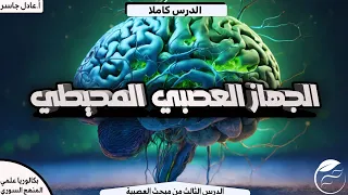 شرح الدرس الثالث عصبية الوحدة الأولى الجهاز العصبي المحيطي بكالوريا 