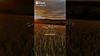 كانت نار تقيد من لمس ايد دندنها