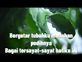 HABIS MANIS HABISLAH SAYANG Dian Piesesha | Lagu Nostalgia Terpopuler