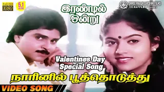 naarinil poo thoduthu video song 5 1 audio valentines day special song ilaiyaraaja chitra