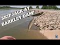 Fishing for Skipjack at Barkley Dam