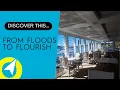 From Floods to Flourish - Discover the new Whalebone Wharf Restaurant