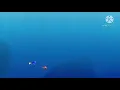 Finding Nemo - School of Moonfish