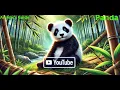 Panda Panda Gaming Panda Food Panda Funny s Animal s Guide
