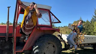 Mahaluše i krompir 🥔 2026 😂 BALKAN | seadhr