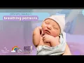 Newborn Breathing Patterns Wee Care Pediatrics