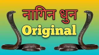 nagin dhun original nagin tune nagin song original nagin dhun