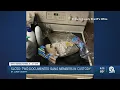 St Lucie County Sheriff s Office arrests two gang members seize drugs gun cash