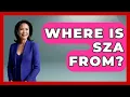 Where Is SZA From - Hip Hop Gurus