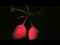 underworld   beautiful burnout lp version