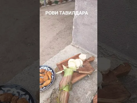 Рови ТАВИЛДАРА. #nature