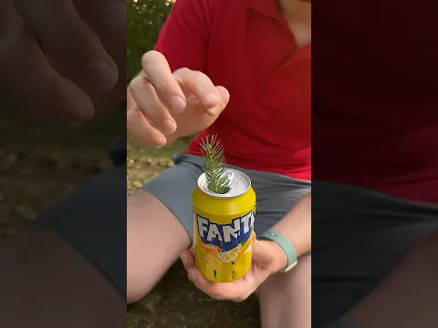 Survival skills: Lifehack for Survival in the wild forest 🌲🦟 #bushcraft  #outdoors #survival