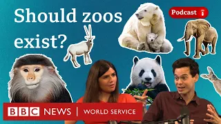 should zoos exist what in the world podcast bbc world service