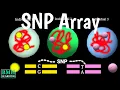 Download Lagu SNP Arrays | SNP Polymorphism Microarray Chip | How SNP Typing Works | DNA Analysis |